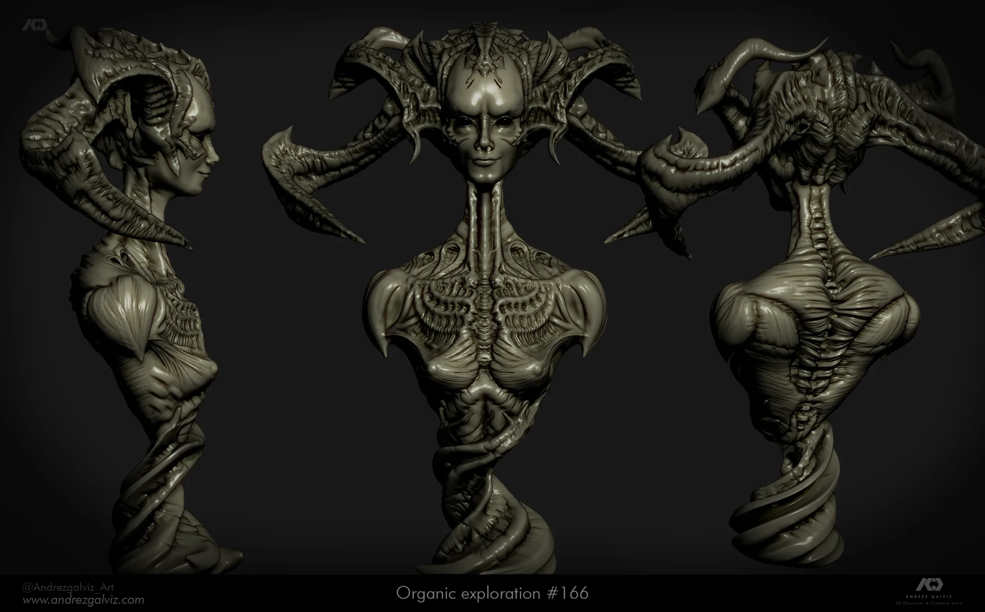 Organic Exploration #166